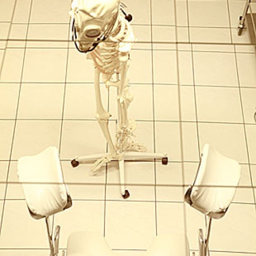 White Rooms - Photo 7 of 18